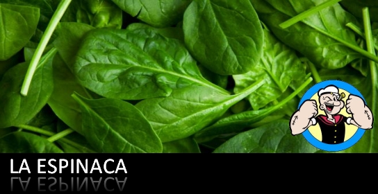 espinaca-nútrete-conmigo-amigo