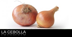 La_cebolla