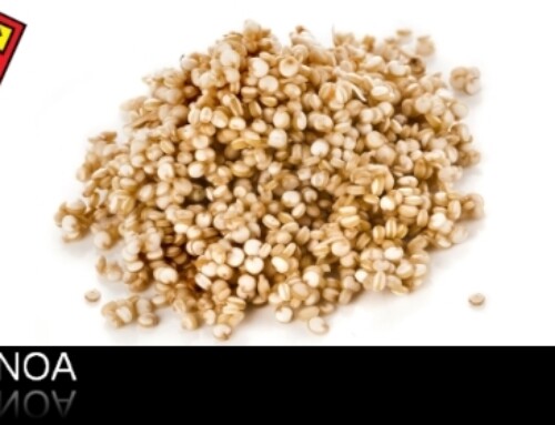 La quinoa «chenopodium quinoa»