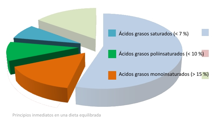 principios-inmediatos-nutricionista-madrid